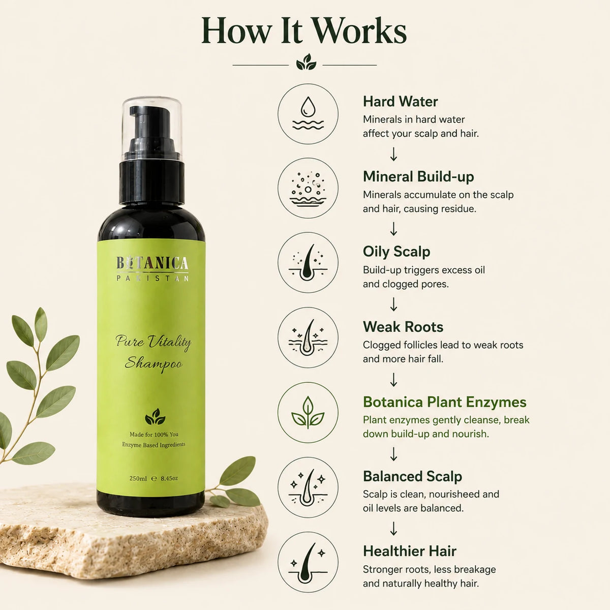 Botanica Plantis Pure Vitality Shampoo bottle displayed on a stone slab with decorative leaves, next to an infographic titled 'How It Works' explaining hair health benefits for hard water and oily scalp.